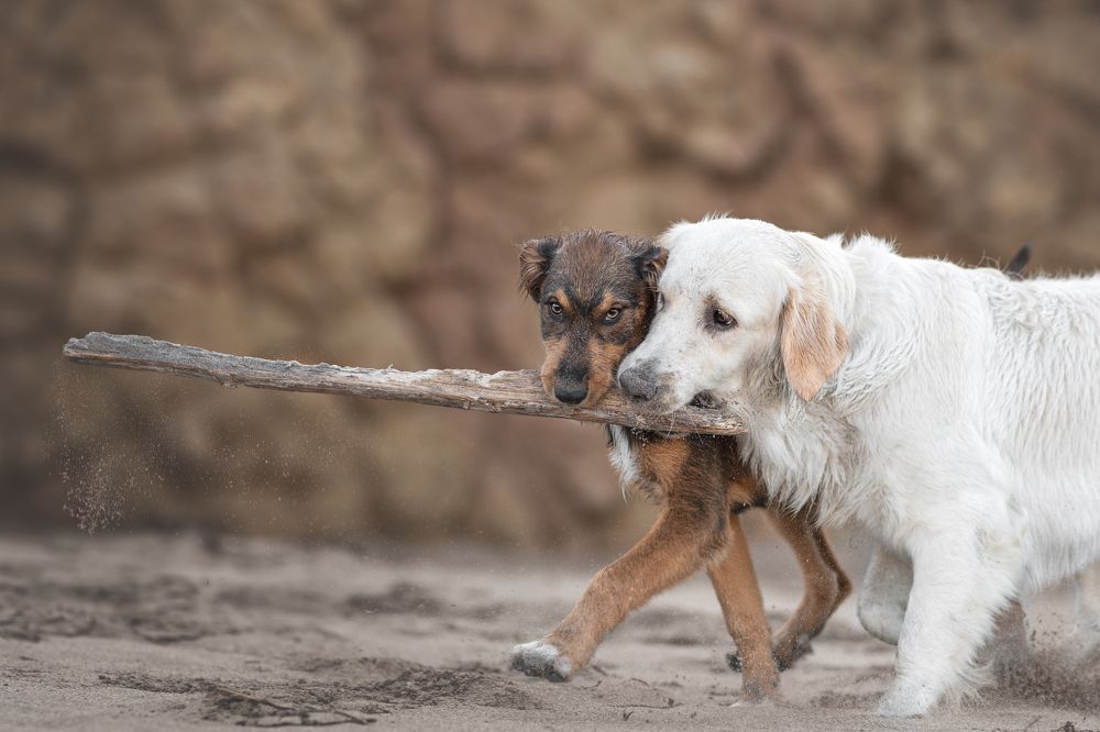 Photograph by Natalia Hidalgo