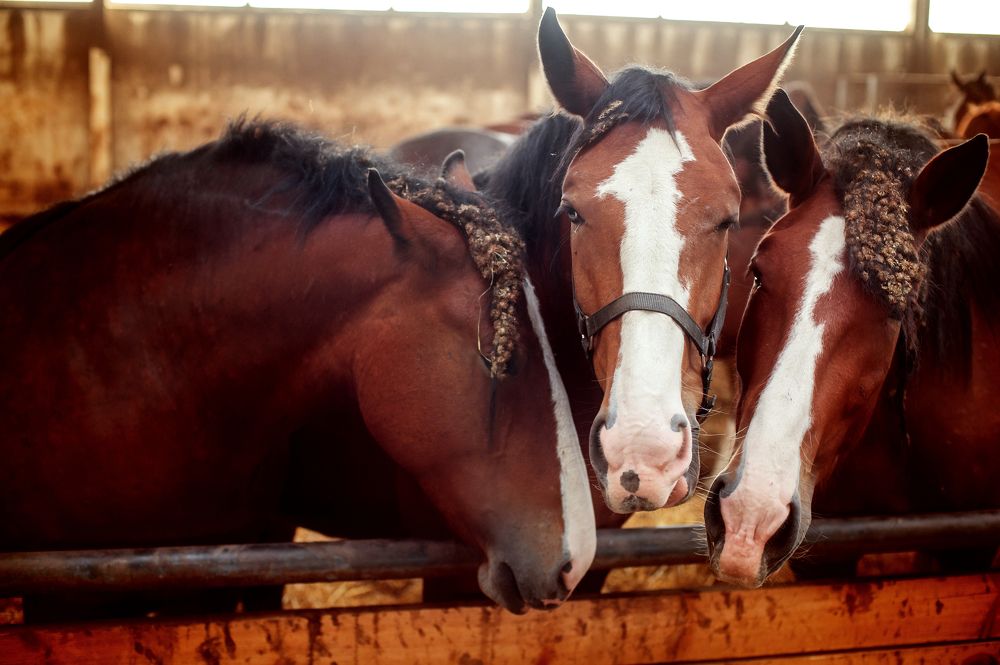 Photograph by Юлия Графова