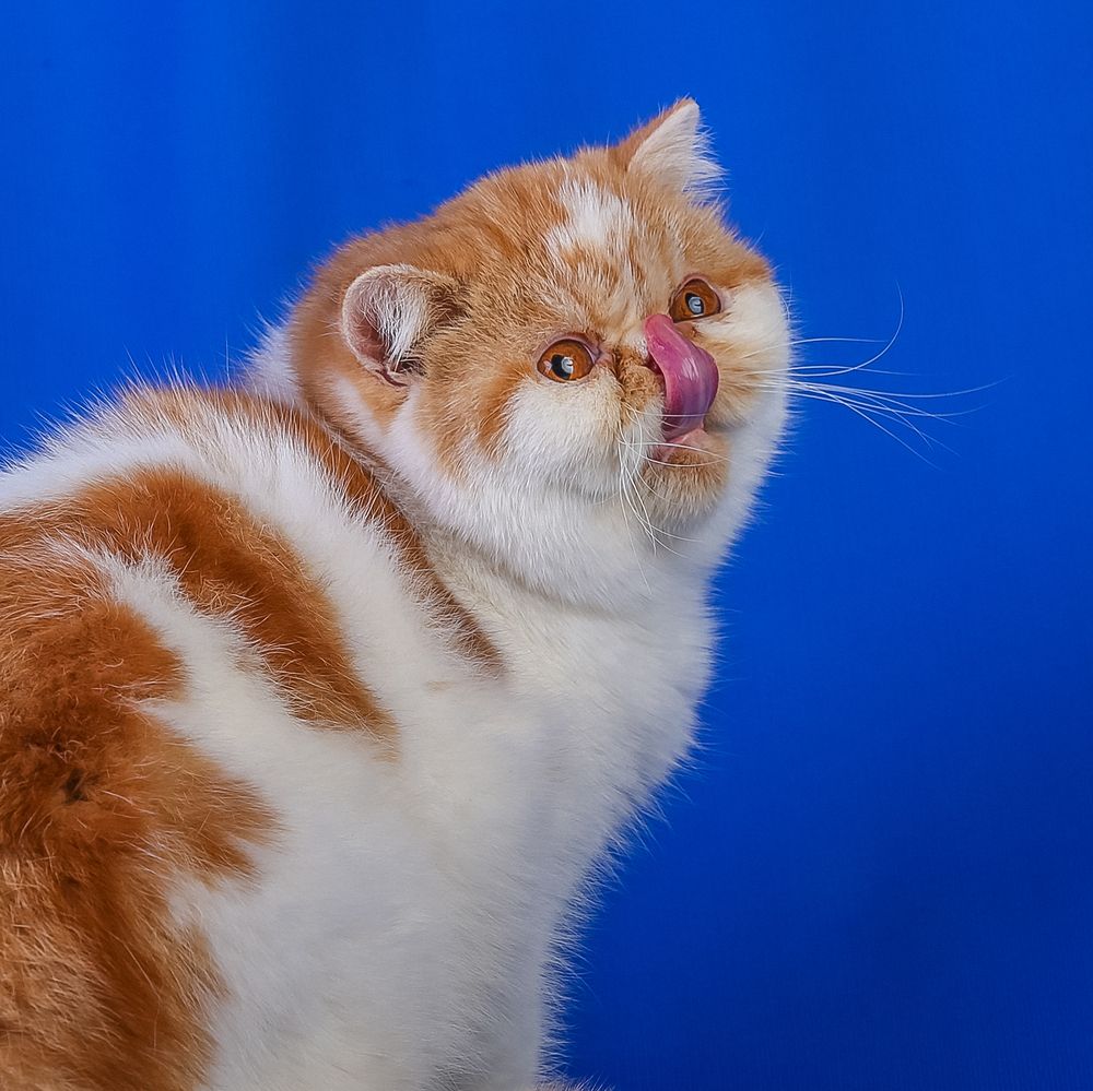 Photograph by Алексей Трифонов