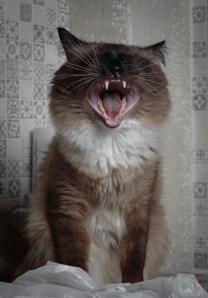 Photograph by Евгений Беляк