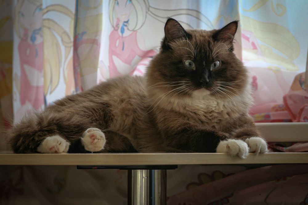 Photograph by Евгений Беляк