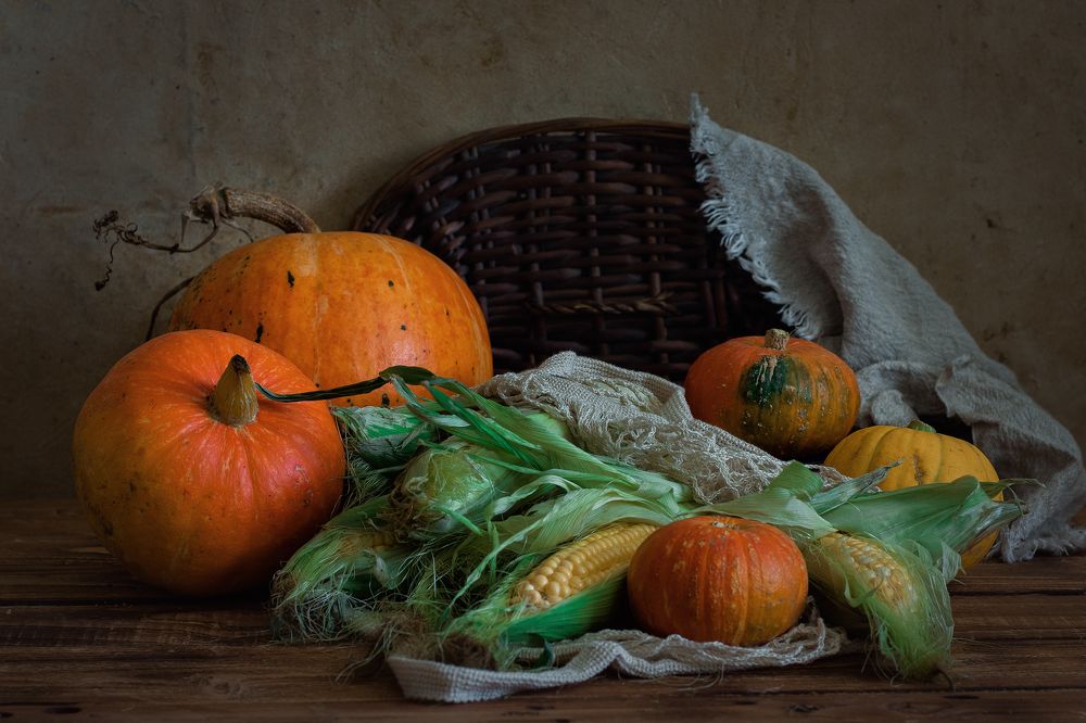 Photograph by Елена Стещенко