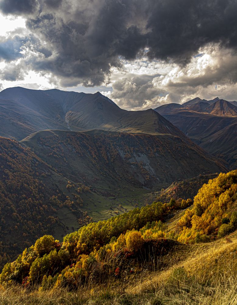 Photograph by Alex Kalpus