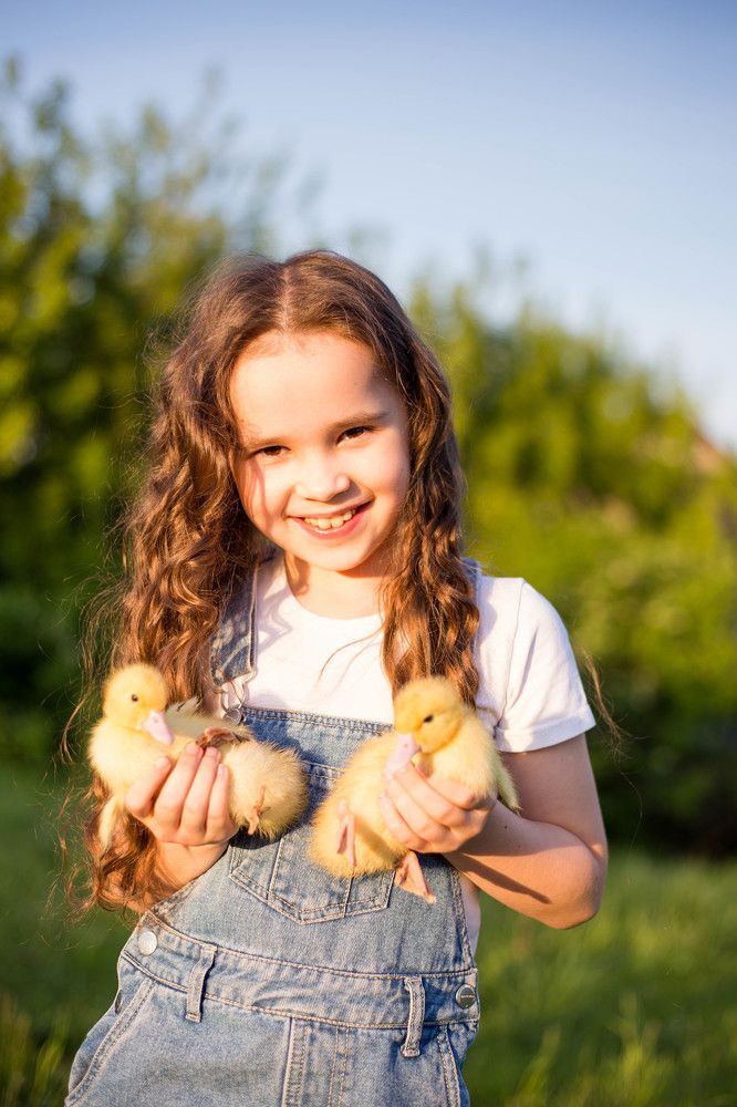Фотография автора Светлана Васильева