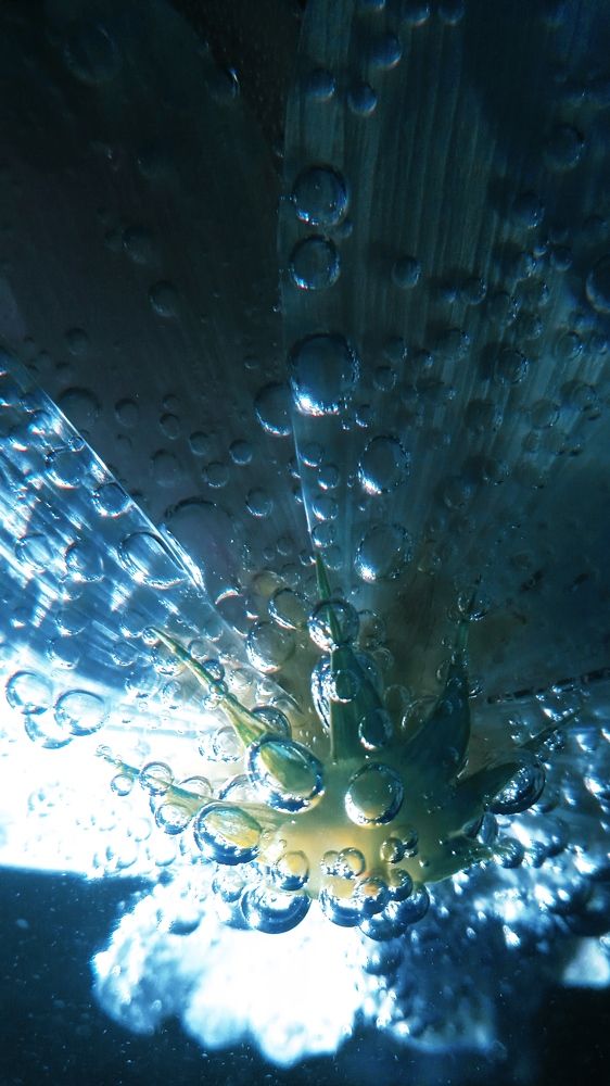 Photograph by Ольга Рыкова