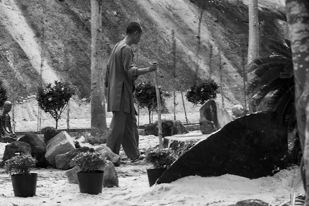 Photograph by Дмитрий Солодухин