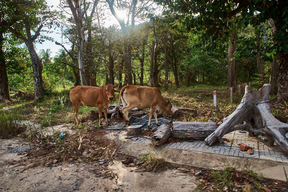 Photograph by Дмитрий Солодухин