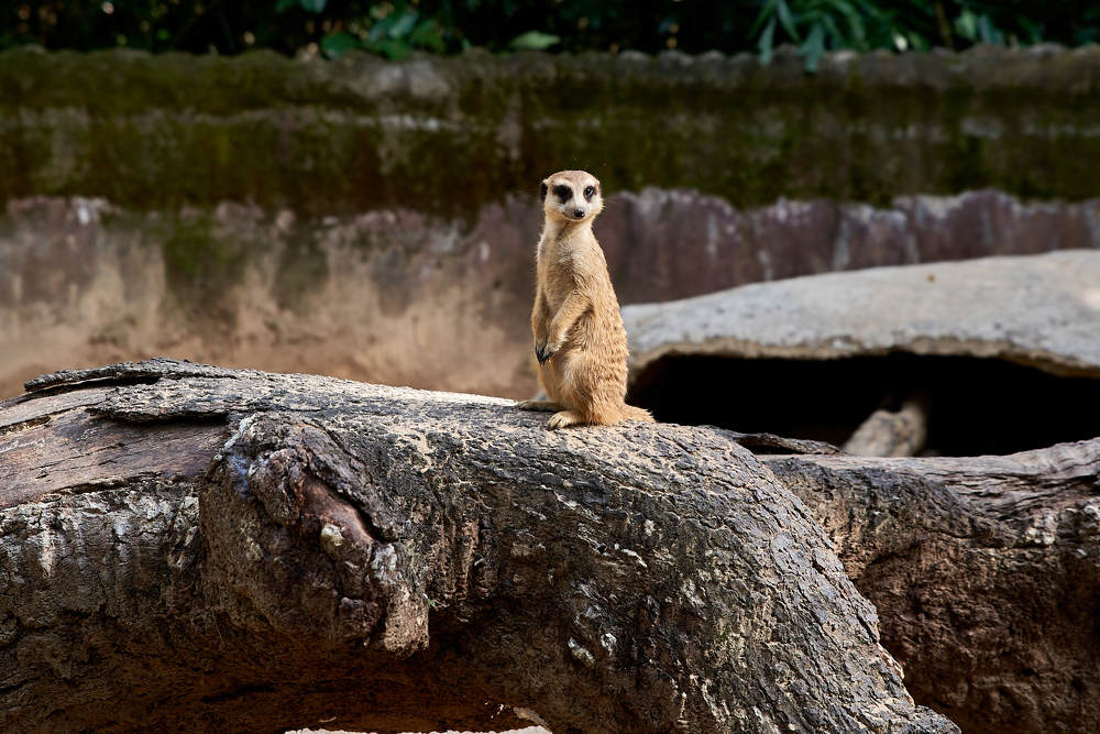 Photograph by Дмитрий Солодухин