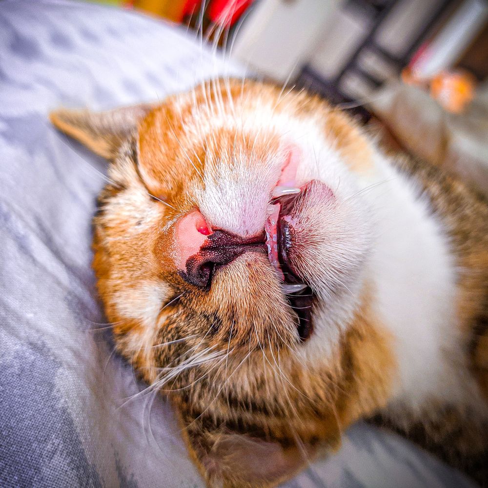 Фотография автора Александр Хухлов