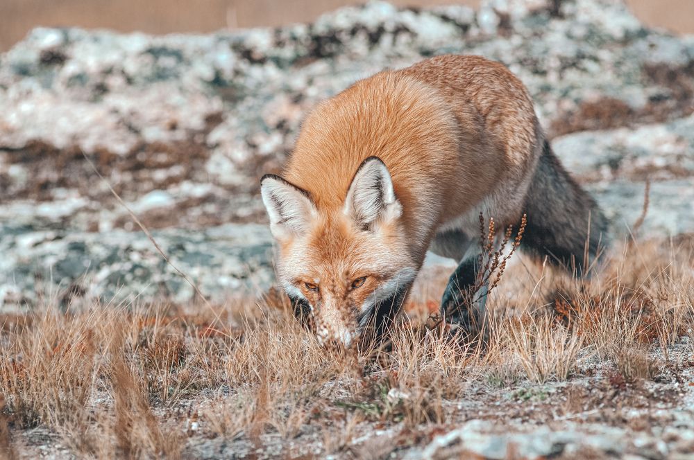Photograph by Анастасия Сахаревич