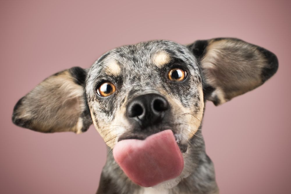 Photograph by leticia pascual garcia