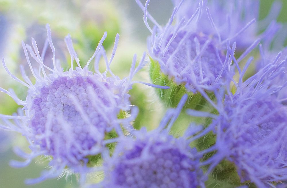 Photograph by Юлия Лушникова