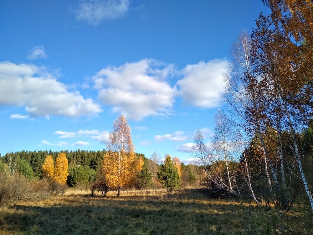 Photograph by Ирина Немкина