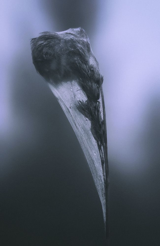 Photograph by Юлия Лушникова