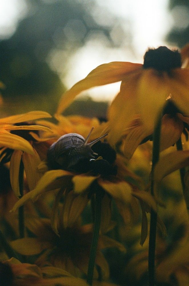 Photograph by Василий Селиванов