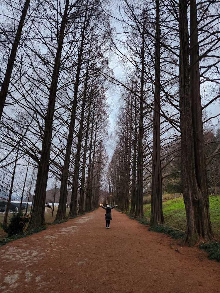 Photograph by Gorobets Olga