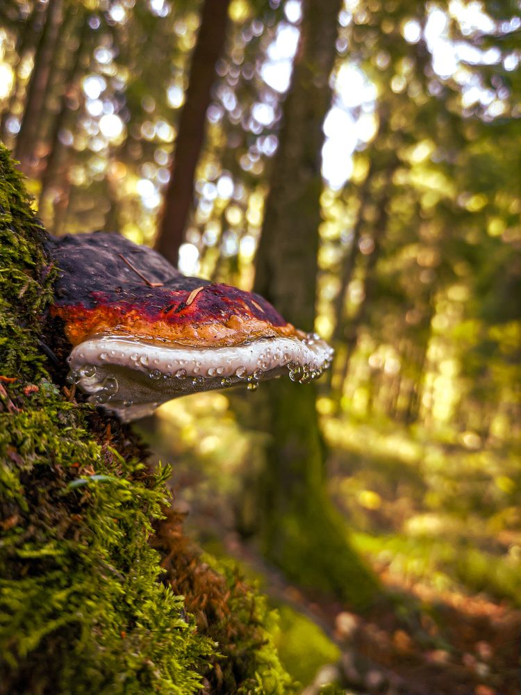 Фотография автора Александр Хухлов