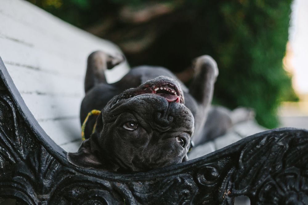 Photograph by Татьяна Степанова