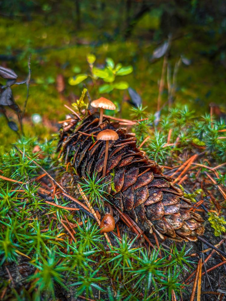 Фотография автора Александр Хухлов