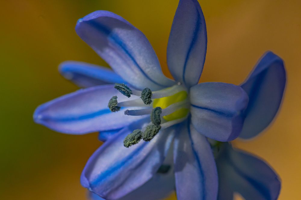 Фотография автора Николай Бологов