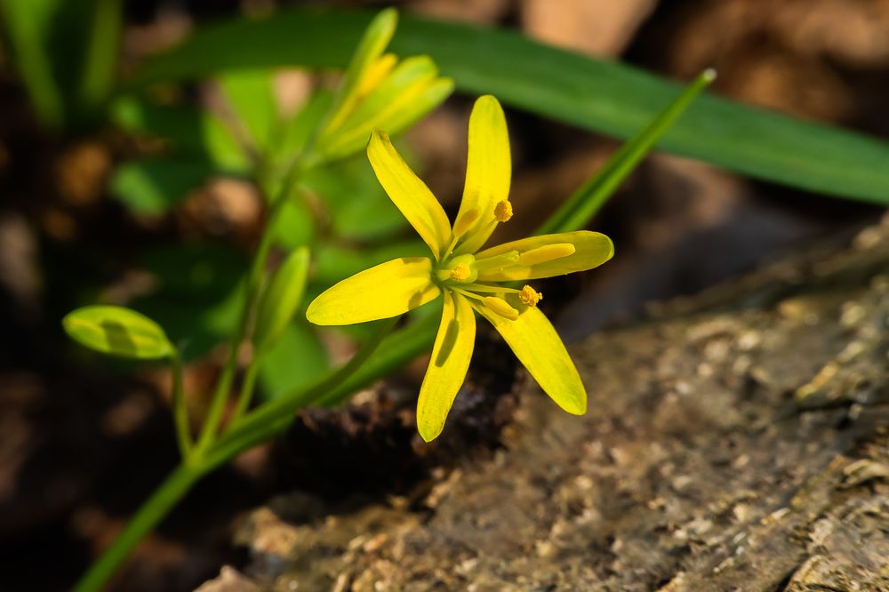 Фотография автора Николай Бологов