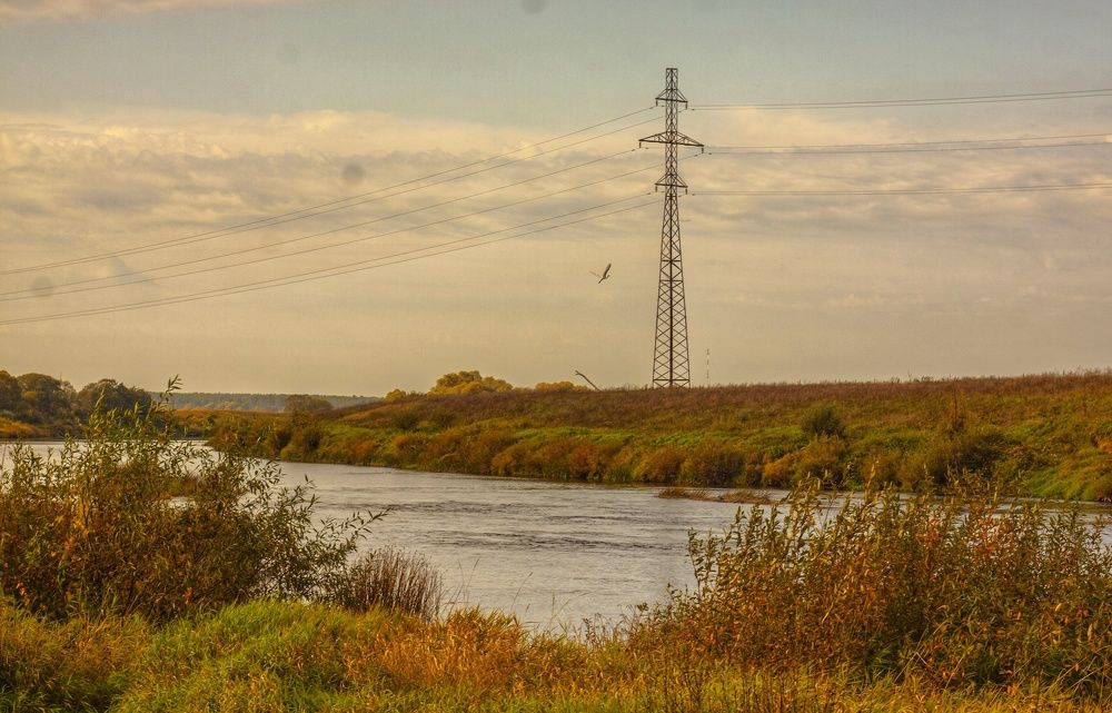 Photograph by Надежда Иголкина
