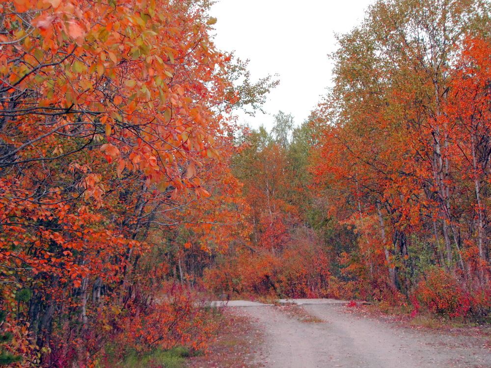 Photograph by Васильев Иван