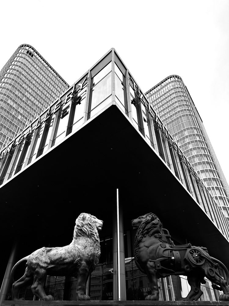 Photograph by Anastasiya Alferova