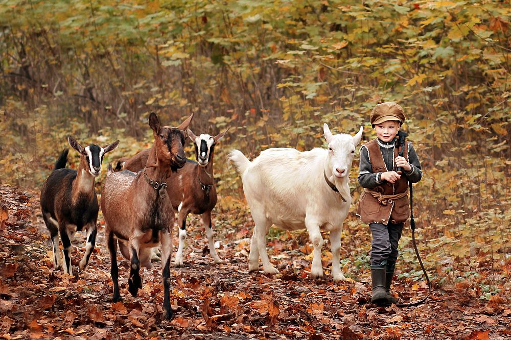 Photograph by Галина Щурова