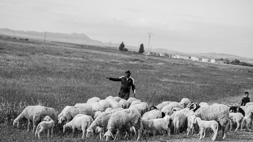 Photograph by Assal mouadh