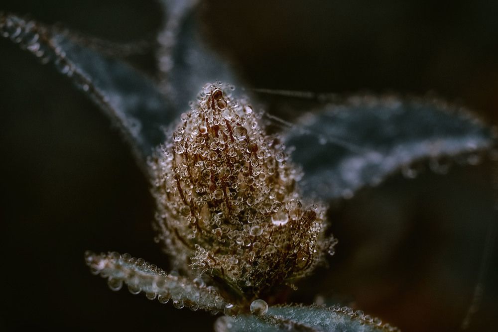 Photograph by Юлия Лушникова