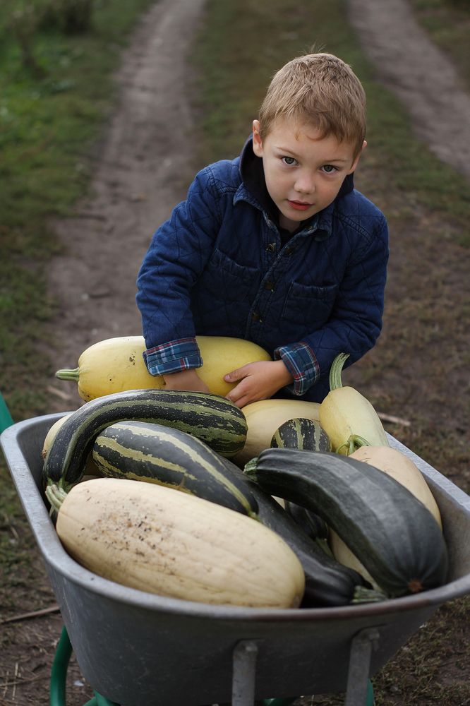 Photograph by Полина Ефимова