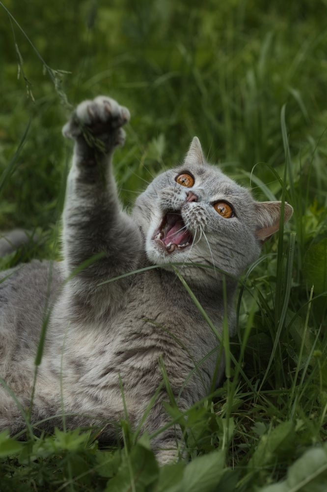 Photograph by Светлана Алексеева