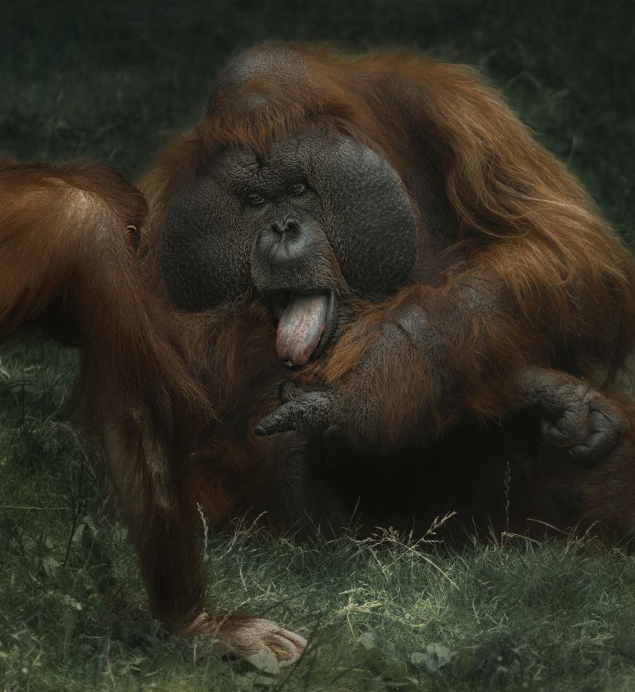 Photograph by Светлана Алексеева