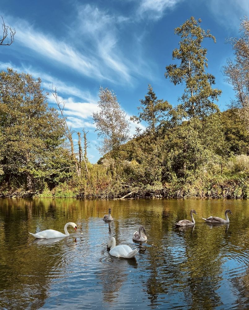 Photograph by Eugenia Schmidt