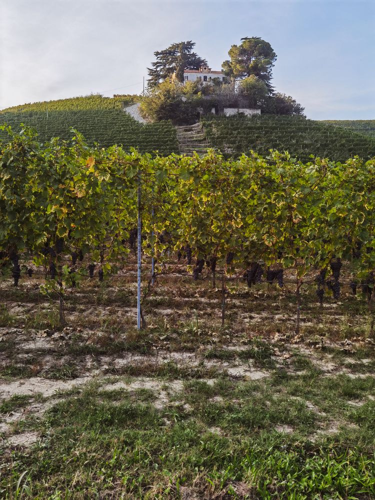 Фотография автора Victoria Vaigant