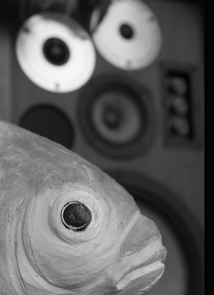 Photograph by Регина Орехова