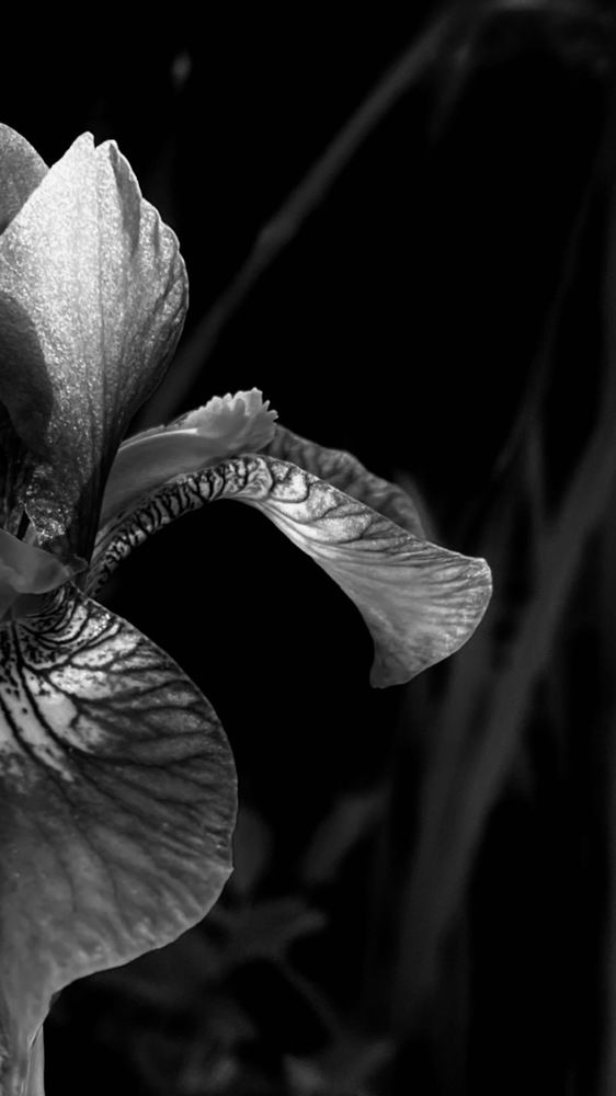 Фотография автора Анастасия Подкорытова