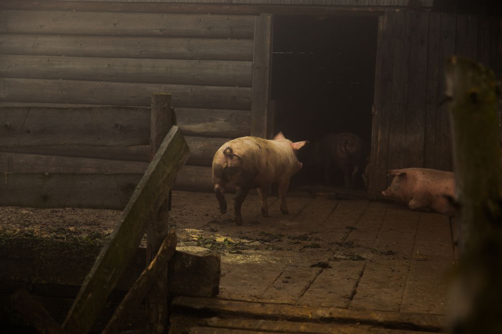 Photograph by Вадим Фаріон