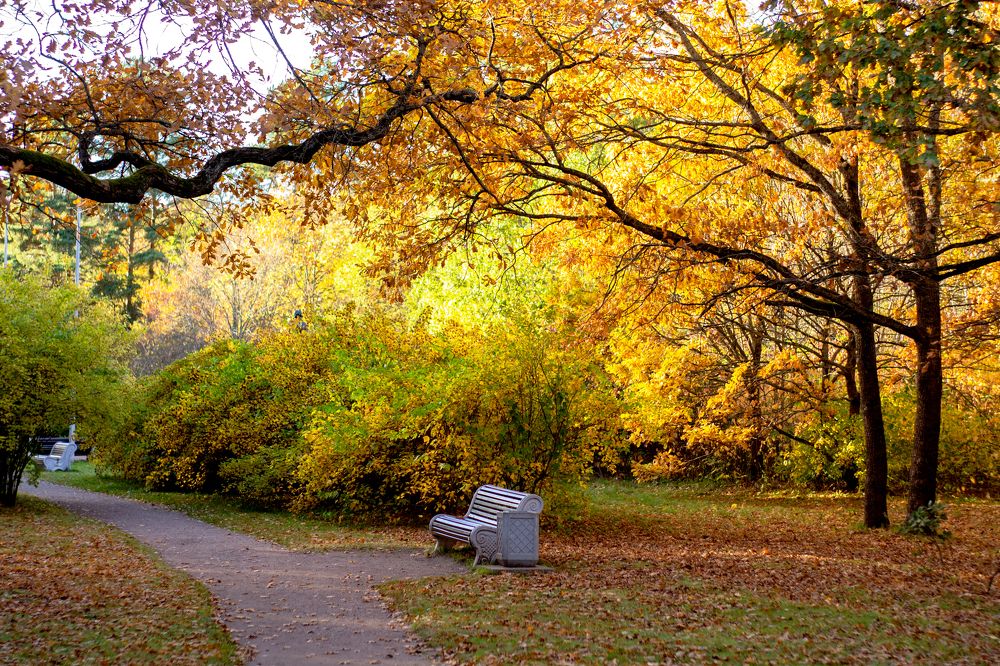 Осенний парк