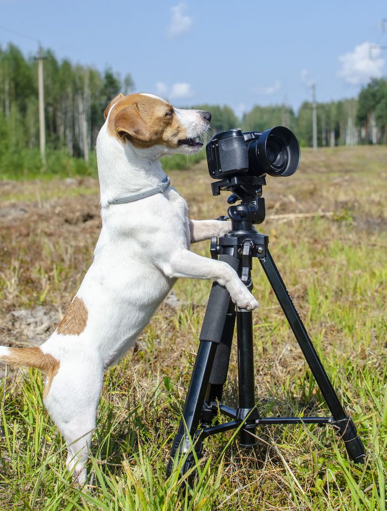 Photograph by Роман Кудрявцев