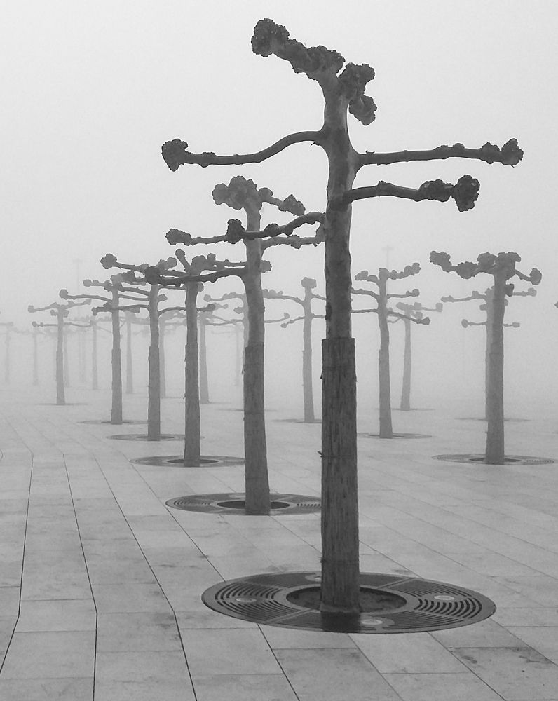 Photograph by Андрей Евтеев