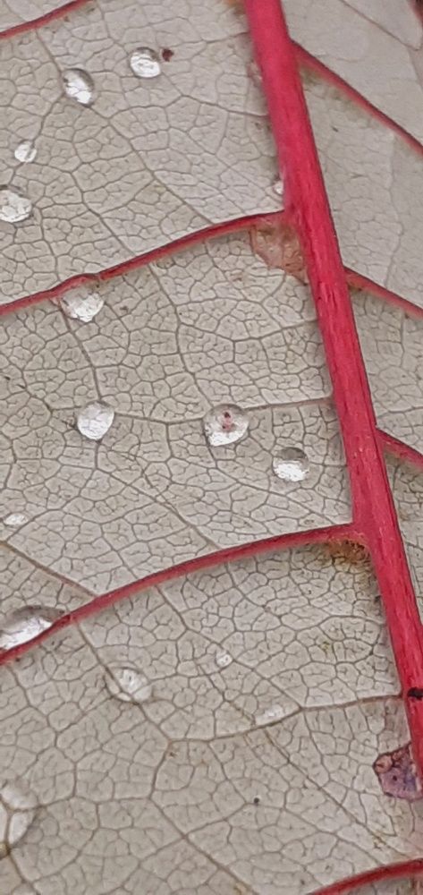 Photograph by Евгения Ульянова