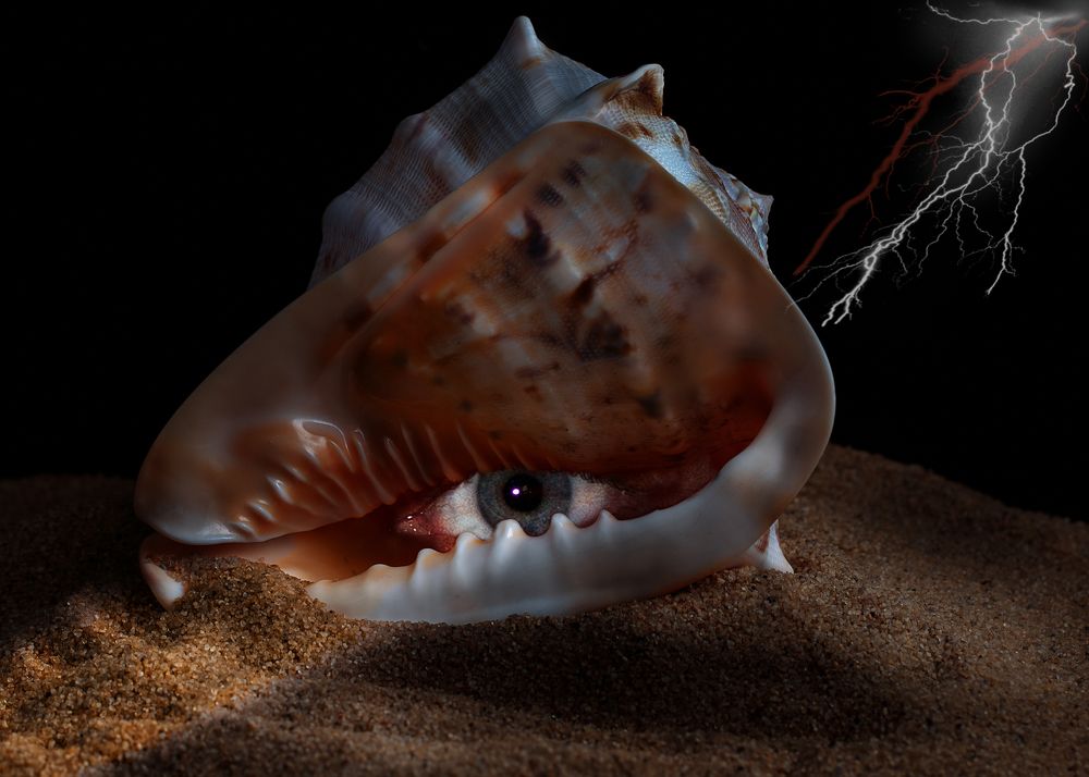 Photograph by Виктор Холодов