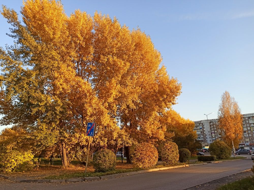 Фотография автора Александр Осинцев
