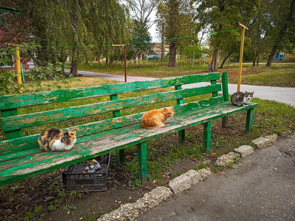 Photograph by Елена Малютина