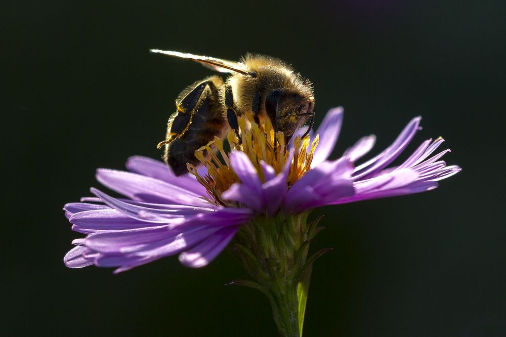 Photograph by Олег Тетерин