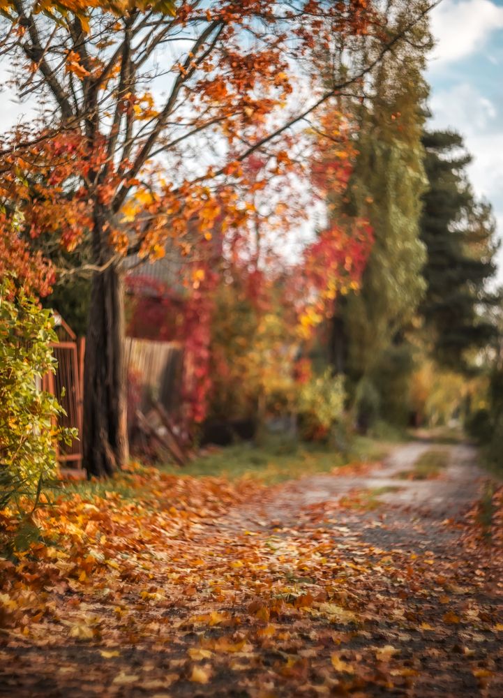 Photograph by Ксения Базарова