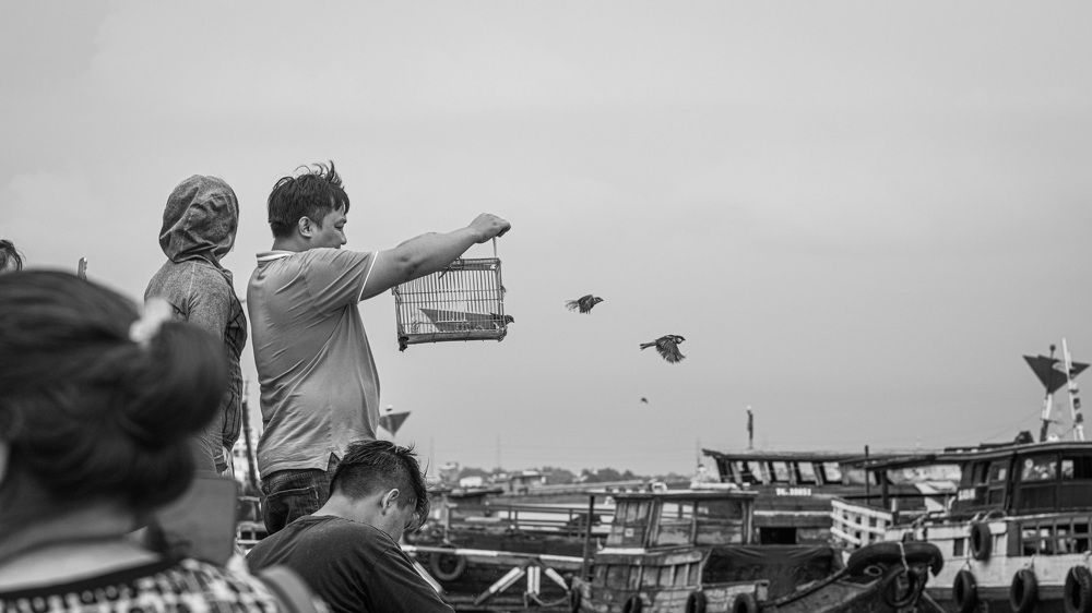 Фотография автора Dat Nguyen Le Tien