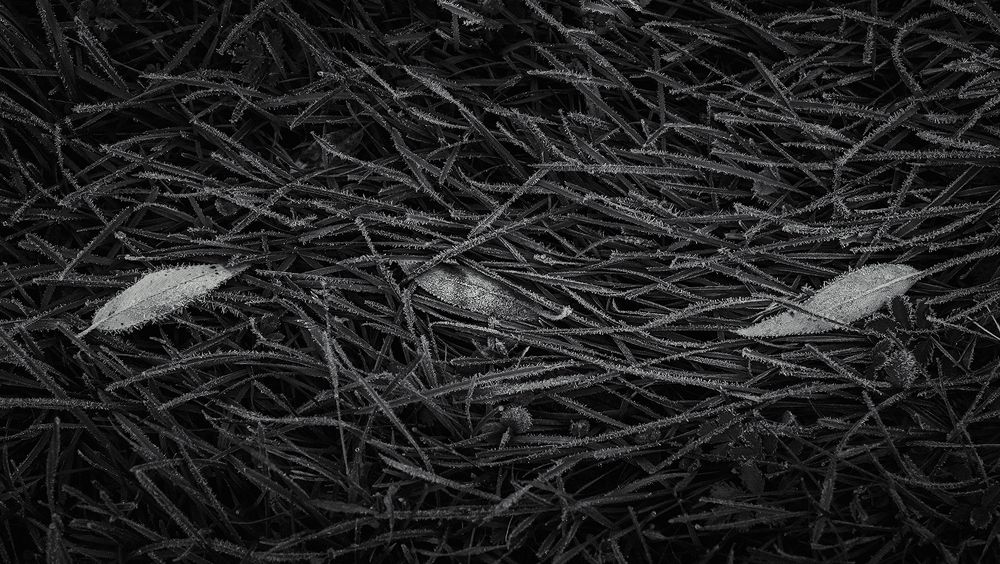 Фотография автора Sergei Kuisma